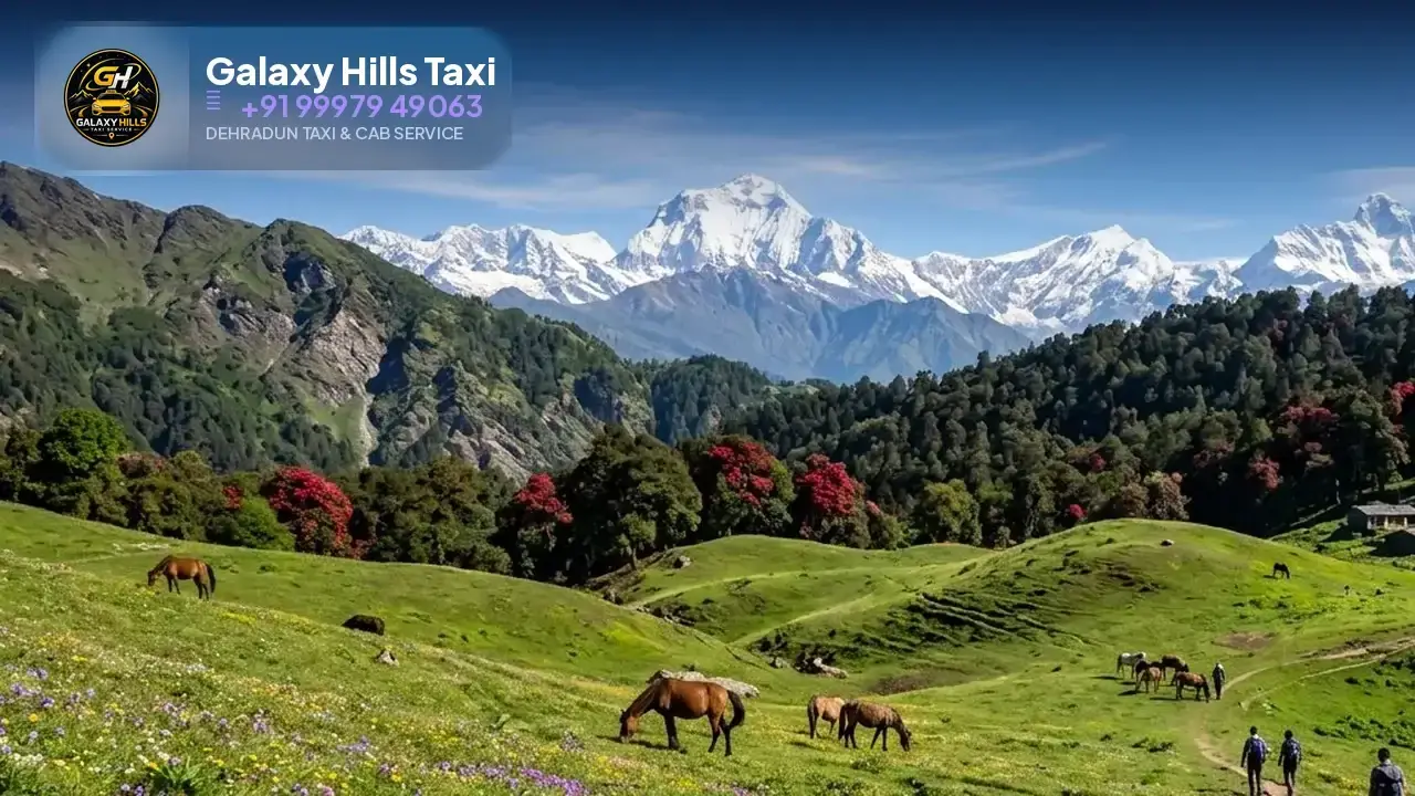 Dehradun to Chopta taxi — Galaxy Hills Taxi Service Dehradun
