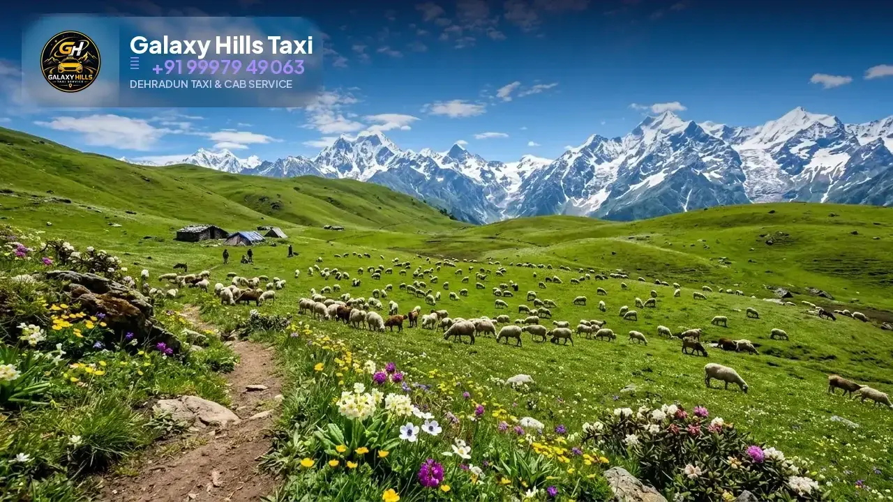 Dehradun to Dayara Bugyal taxi — Galaxy Hills Taxi Service Dehradun
